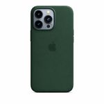 Silicone Case for iPhone 13 Pro, Green, Silicon