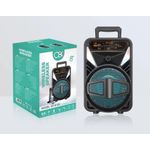 8" Wireless Bluetooth Speaker – LED Lights, FM Radio, USB, Remote & Mic