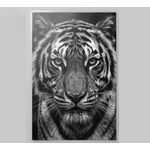 product_image_name-Cool Prints-Tiger Face Laminated Wall Print  A5, A4, A3, A2, A1, A0-1