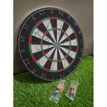 proffessinal dart board