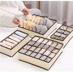 product_image_name-Un Branded-4 in 1 undergarment organizer-1