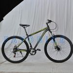 Bike Zooom size 29