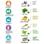 product_image_name-Generic-Essential Oil Diffuser Aromatherapy Oil-3