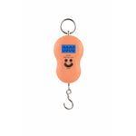 Digital Hanging Weighing Scale 50KG Portable With Metal Hook