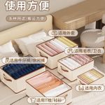 product_image_name-Generic-Closet Multipurpose Organizers or Storage Box-3