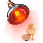 product_image_name-Generic-Windsor 250 Watts Infrared Chicken Bulb to provide warmth-1