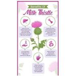 product_image_name-Generic-Milk Thistle Powder-3