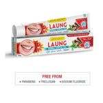 Looloo Herbal Dental Gel (Laung) Paste 100g
