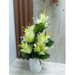 product_image_name-Generic-Table Top Lily Flower - Cream-5