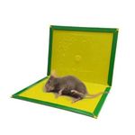 product_image_name-Generic-Mouse & Rat Glue Traps – Non-Toxic Strong Adhesive Sticky Boards for Home, Kitchen & Store Use-3