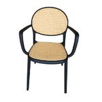 product_image_name-Generic-Modern Plastic Rattan Chair - High-Back Stackable Indoor & Outdoor Armchair-3