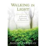 Jumia Books Walking in Light Book By Sandra Ingerman