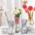 product_image_name-Generic-300ml 15cm High Flower Vase for Home Decor-2
