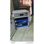 product_image_name-Generic-Newly Advanced 204eggs Incubator-self Water Replenishing-1