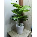 product_image_name-Generic-Artificial Stripped Flower , Decor Stones Plus A Vase-2