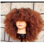 Fluffy Afro Wig