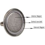 product_image_name-Generic-12 Piece Super Strong Neodymium Magnetic 16 Mm Max Load 5.5kg -5