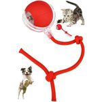 product_image_name-Generic-1 Interactive pet Ball + 1 Free!-2