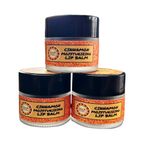 product_image_name-GICA Naturals-Cinnamon moisturizing lip balm-1