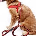 product_image_name-Generic-Nylon Dog Harness And Leash-2