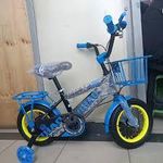 Best adjustable kids bikes (2-5) Years