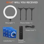 product_image_name-Generic-RL-21 21" LED Ring Light with Remote for TikTok and YouTube-4