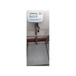 Platfoam Weighing Scale 300kgs-A12