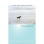 Jumia Books The Untethered Soul 