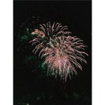 product_image_name-Generic-8 Shots Roman  Fireworks--2