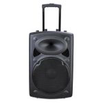 12 Inch Professional Rechargeable Wireless Outdoor Dj Trolley Speaker