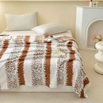 product_image_name-Generic-New Fleece Blanket(6*6)-1