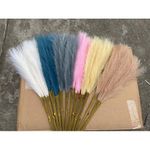 Elegant Natural Dried Pampas Grass for Home Décor, Weddings, and Events