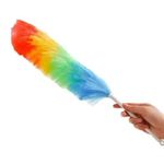 product_image_name-Generic-Feather Duster Car Duster Hand Duster Static Dusting Brush-3
