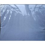 5 Piece Bed Sheet Set, High Grade Premium Cotton Bed Sheet Set, 1 Mattress Cover(fitted Sheet), 2Flat Bedsheets & 2 Pillow Cases