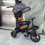    Kids Push Tricycle With Canopy