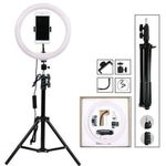 CLASSIC Round 12 inches selfie ring fill light with stand