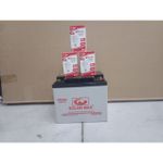 Solarmax 80Ah Solar Battery No Maintenance Dry Cell Solar Battery + Free 3 DC Bulbs