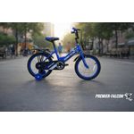 Kids Blue 16 Inch Bicycle with Stabilizer Wheels and Rear Rack