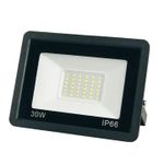 Electric Floodlight 30 WATTS