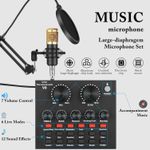 product_image_name-Generic-BM-800 Microphone with Voice Changer for Podcasts-1