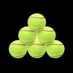 6pcs Tennis Balls 