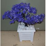 product_image_name-Generic-Artificial Purple Bonsai Tree with White Decorative Pot-2
