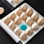 product_image_name-Generic-32 Grid Egg Tray Holder Double-Layer Fridge Drawer Storage-3