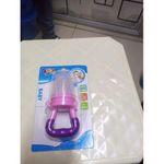 fruit feeder pacifier
