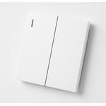 product_image_name-Alva-10Units ,Heavy duty 2Gang 2Way, Flat Wall Switch, White,10 Amps.Heavy Duty Steel Frame-2