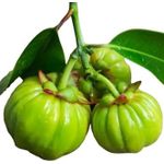 product_image_name-Garcinia-Cambogia powder 100g-2