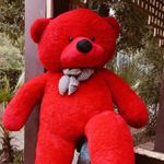 product_image_name-Generic-80 CM STUFFED PLUSH SOFT TEDDY BEAR DOLL-2