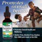 product_image_name-Nature Inspired-Nature's Answer Dandelion Root Extracts - Alcohol Free - 30ml-1