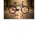 Victory Heavy-Duty 26” MTB Bike