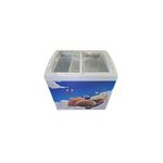 TLAC  256 LITRES SHOWCASE ICE CREAM FREEZER